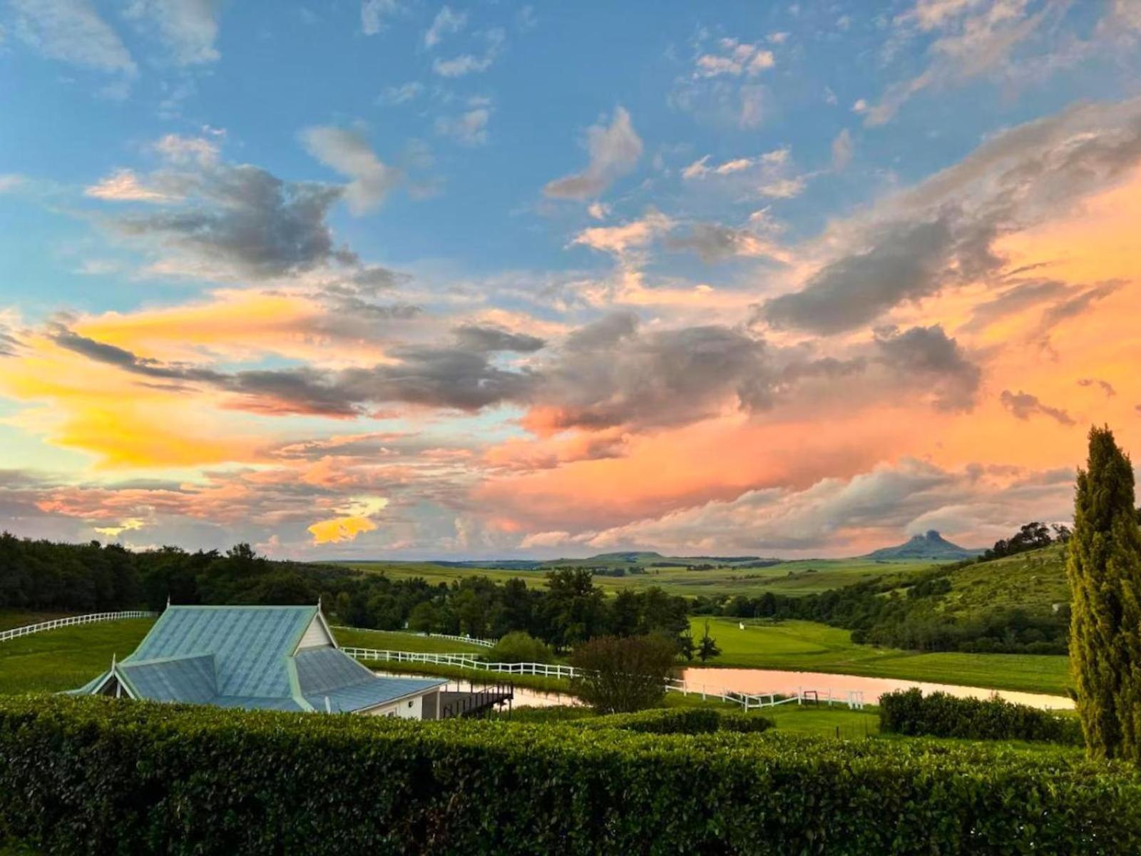 Oaklands Farm Stay Van Reenen Εξωτερικό φωτογραφία